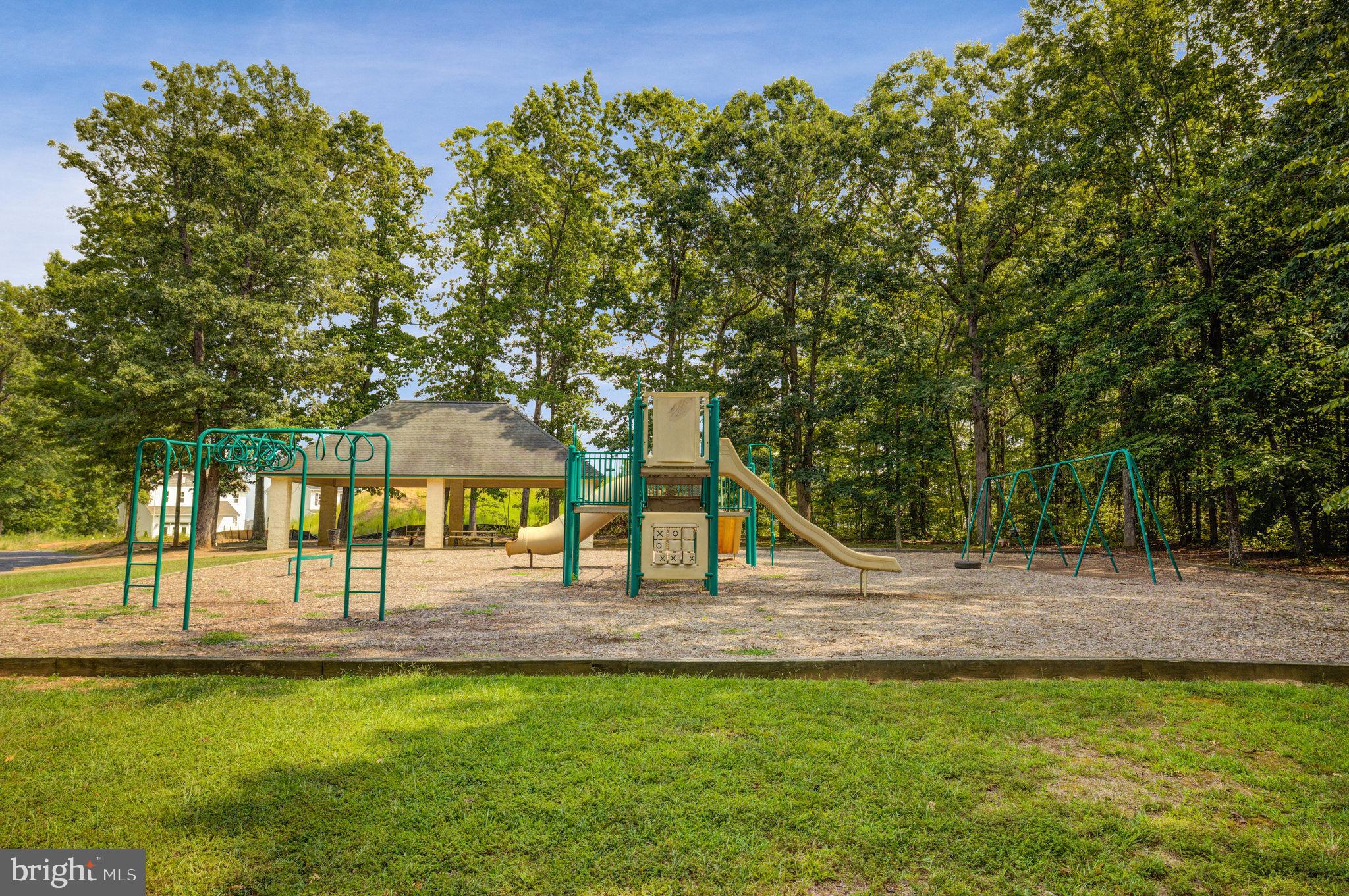 36109 Wilderness Shores Way Locust Grove, VA 22508 - Photo 33 of 53 PLAYGROUND
