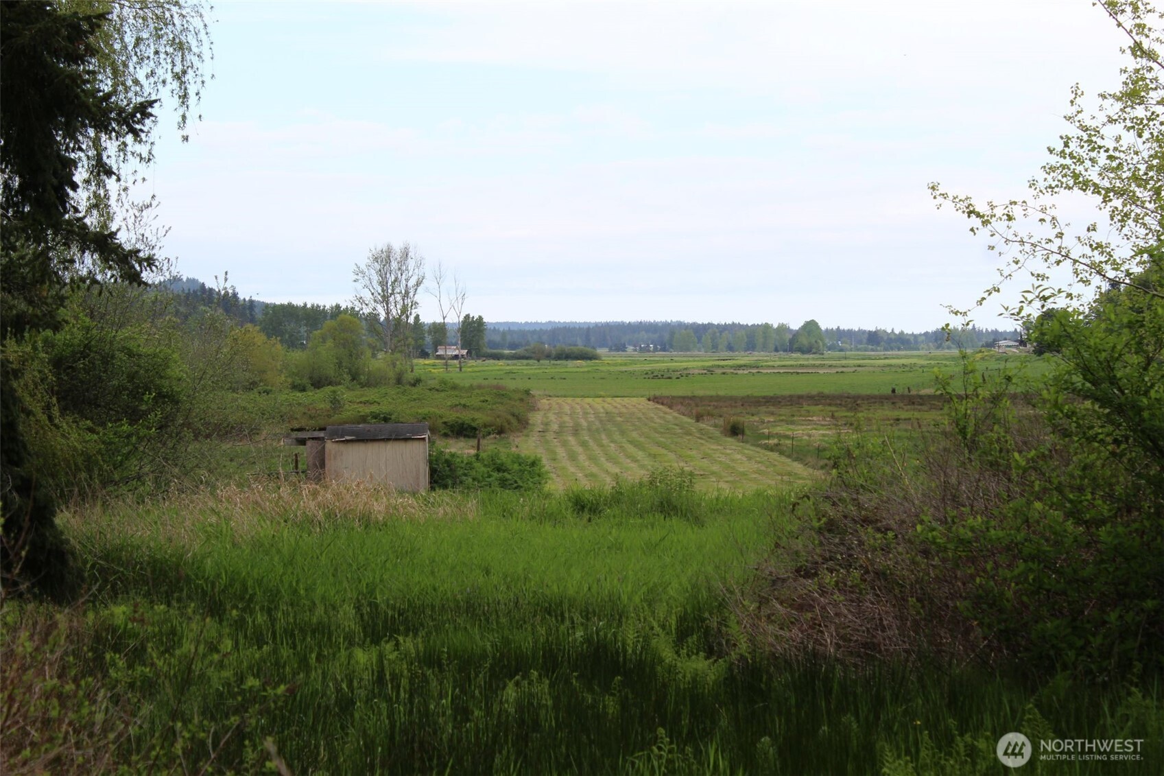 2600 Center Valley Road Chimacum, WA 98325 - Photo 3 of 14 Gallery Image 3