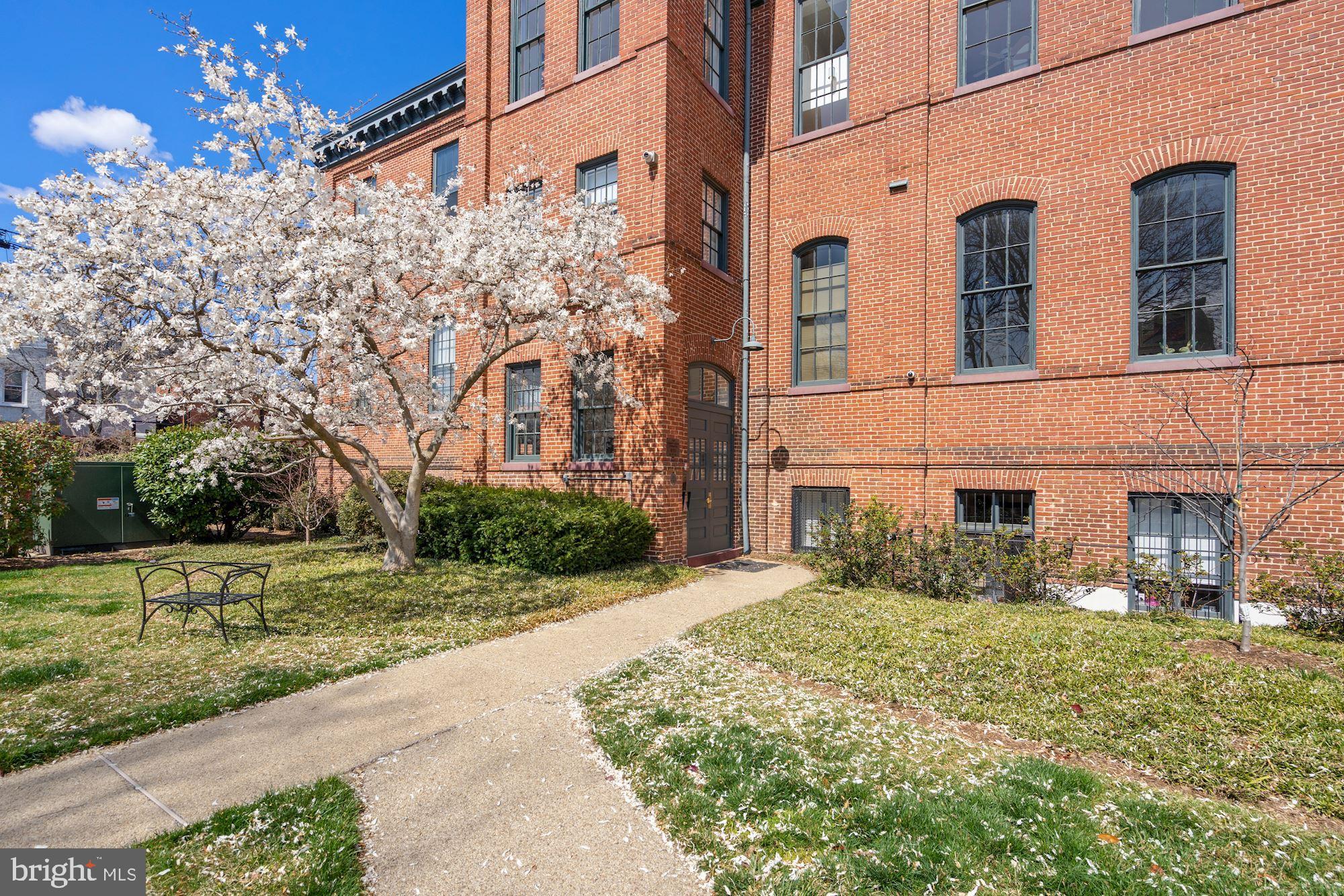 410 5th Street Northeast, Unit 26 Washington, DC 20002 - Photo 32 of 47 Mature plantings across the grounds