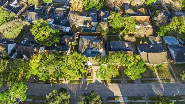 a view of a yard with plants and large trees