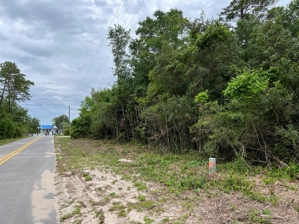 142 Indiana Street Carrabelle, FL 32322 - Photo 2 of 3