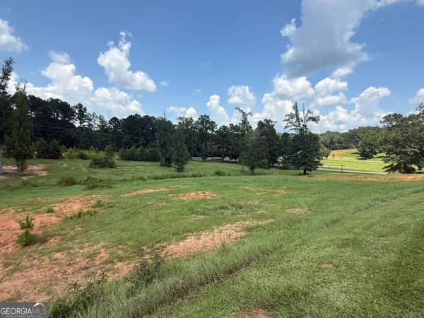 a view of a big yard