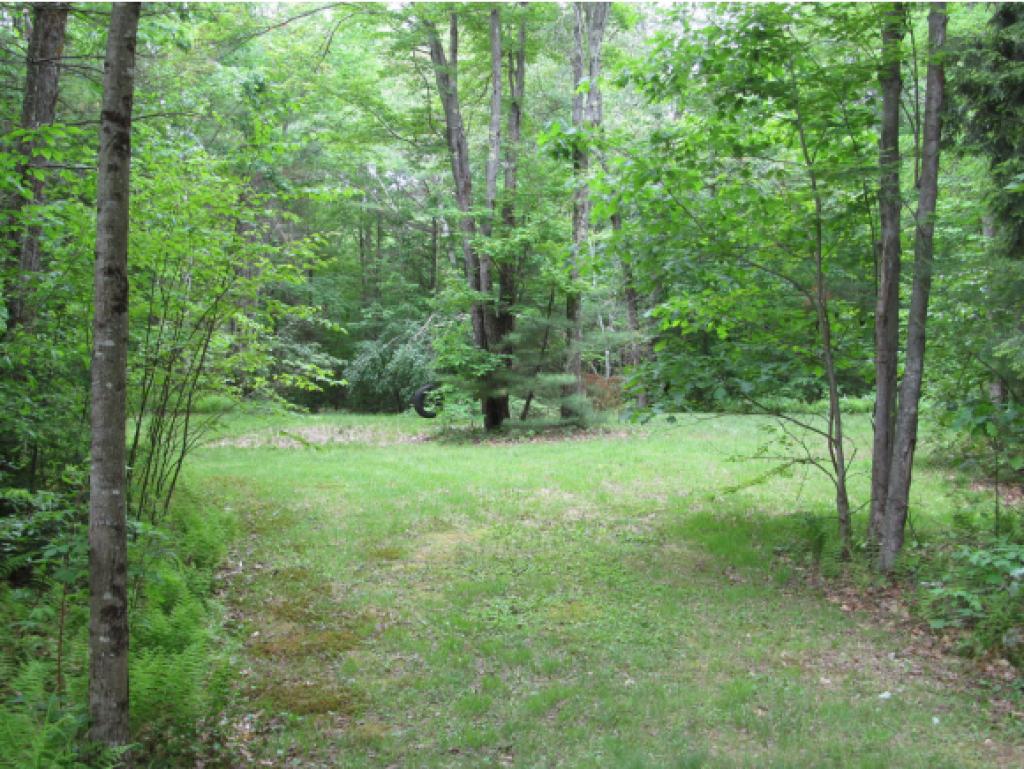 32 Healy Pasture Road Chichester, NH 03258 - Photo 20 of 23 Gallery Image 20
