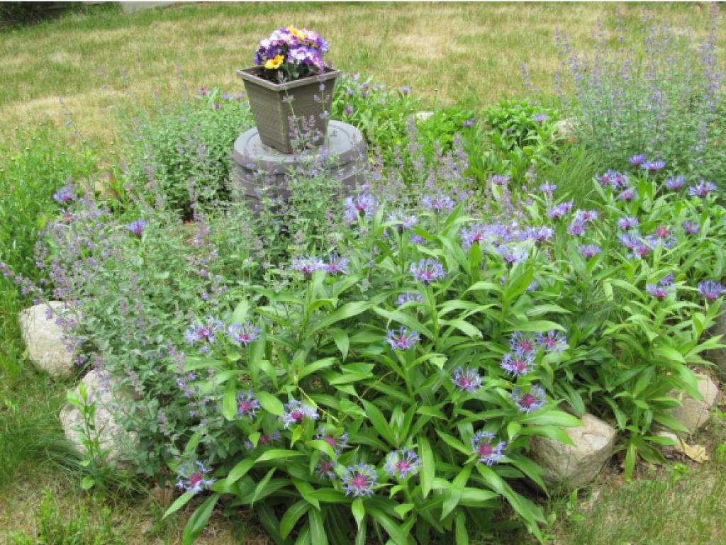 32 Healy Pasture Road Chichester, NH 03258 - Photo 23 of 23 Gallery Image 23