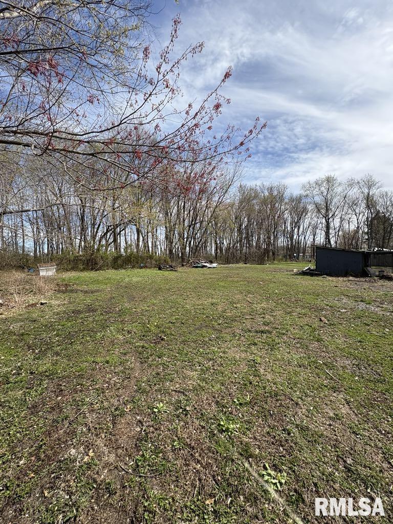 412 North Main Street Ewing, IL 62836 - Photo 4 of 27