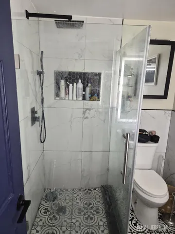 a bathroom with a shower and toilet