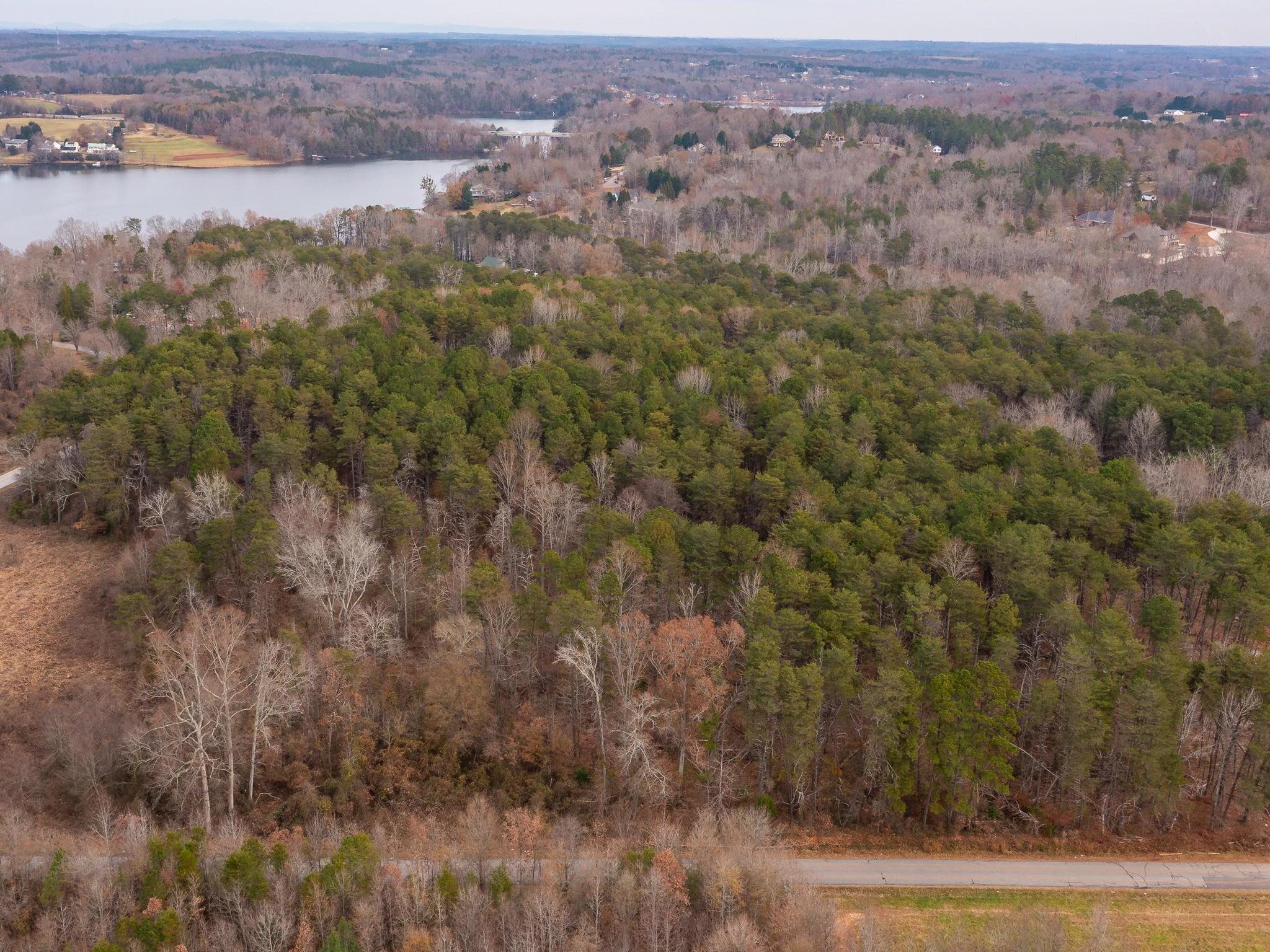 0 Dickson Road Inman, SC 29349 - Photo 3 of 12