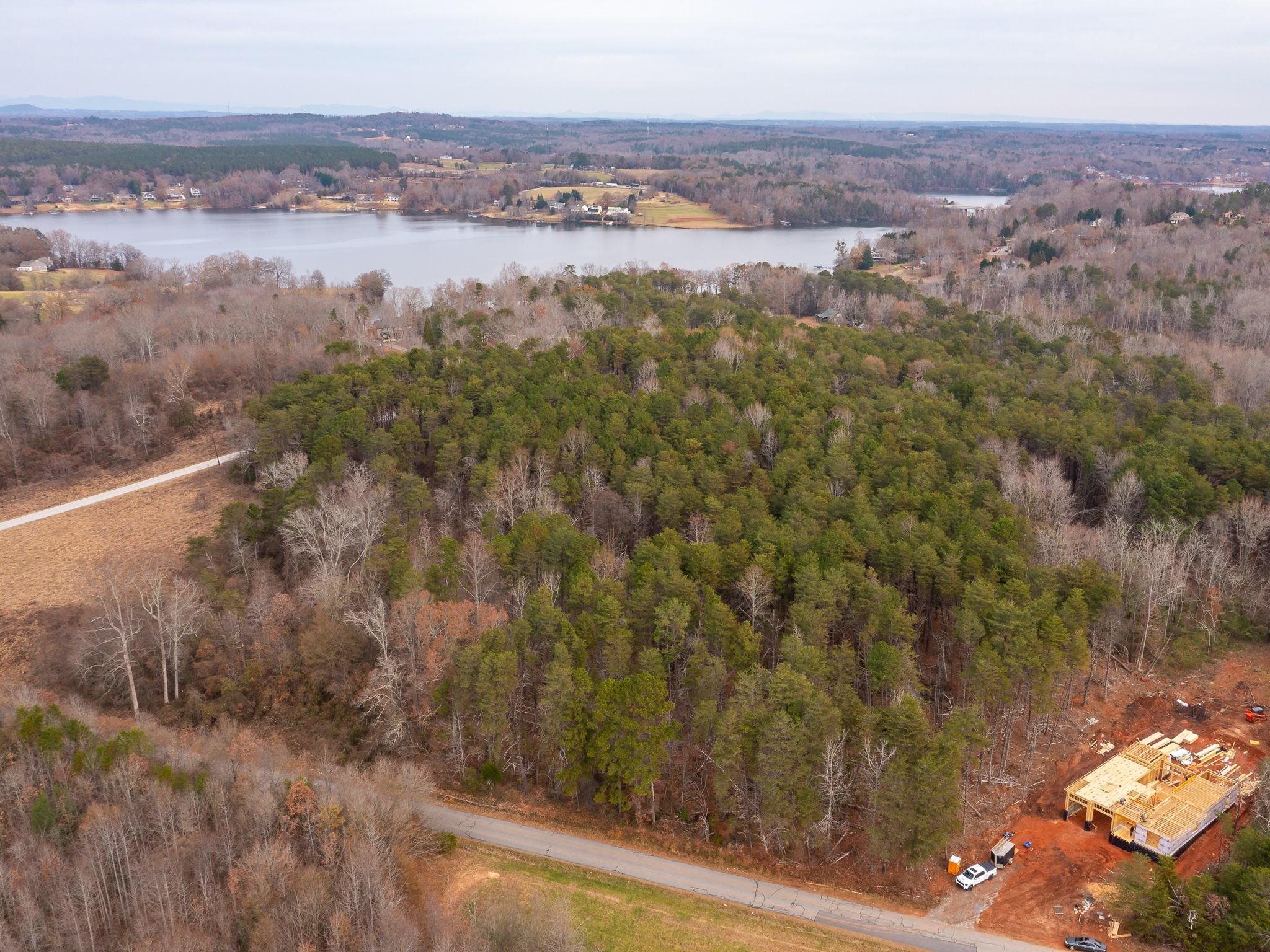 0 Dickson Road Inman, SC 29349 - Photo 4 of 12