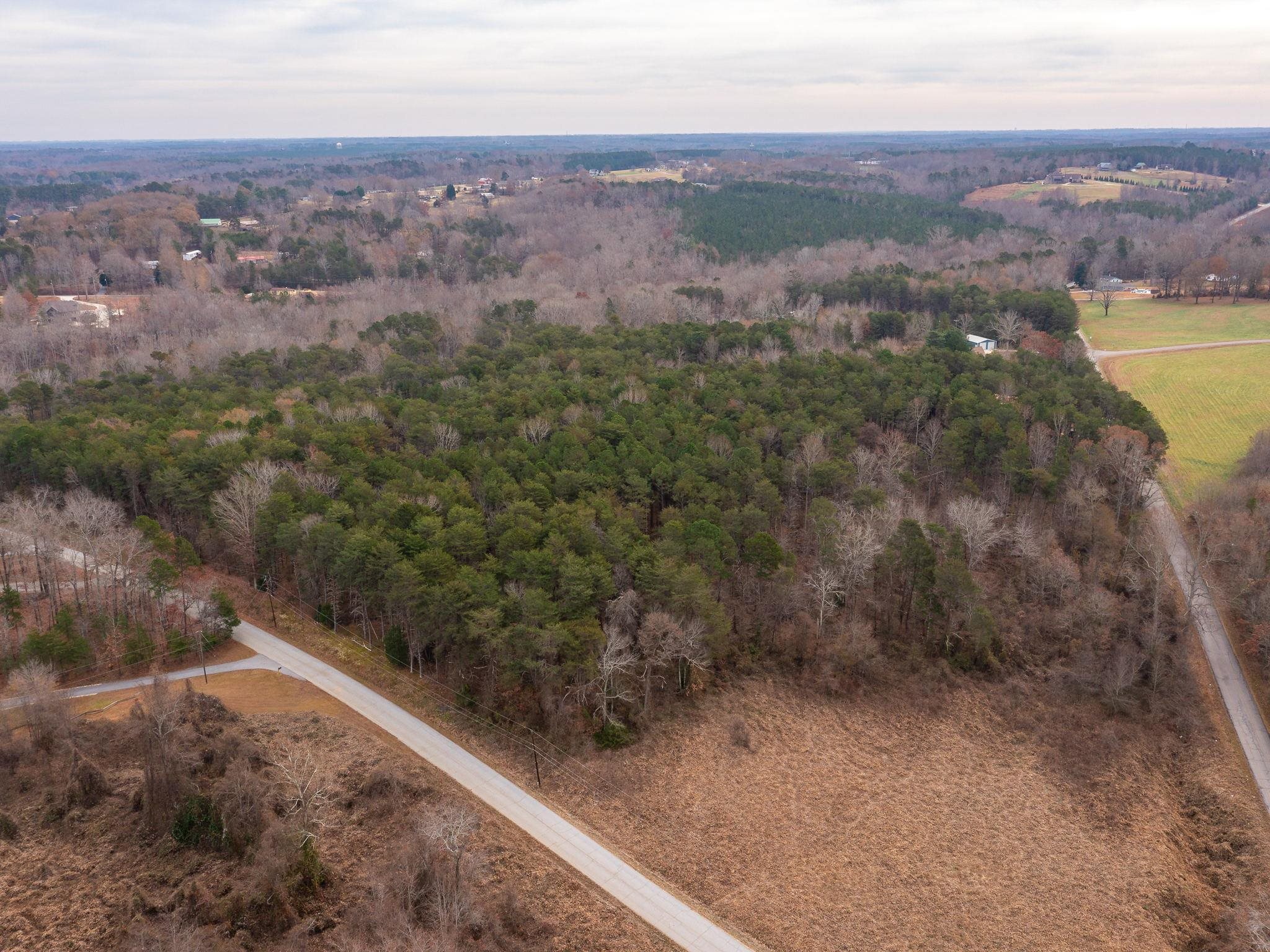 0 Dickson Road Inman, SC 29349 - Photo 7 of 12