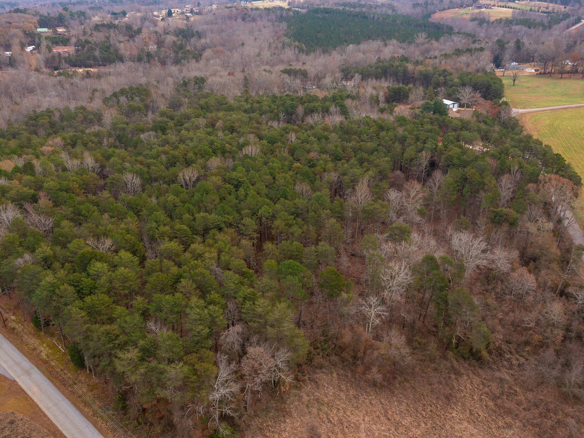 0 Dickson Road Inman, SC 29349 - Photo 8 of 12