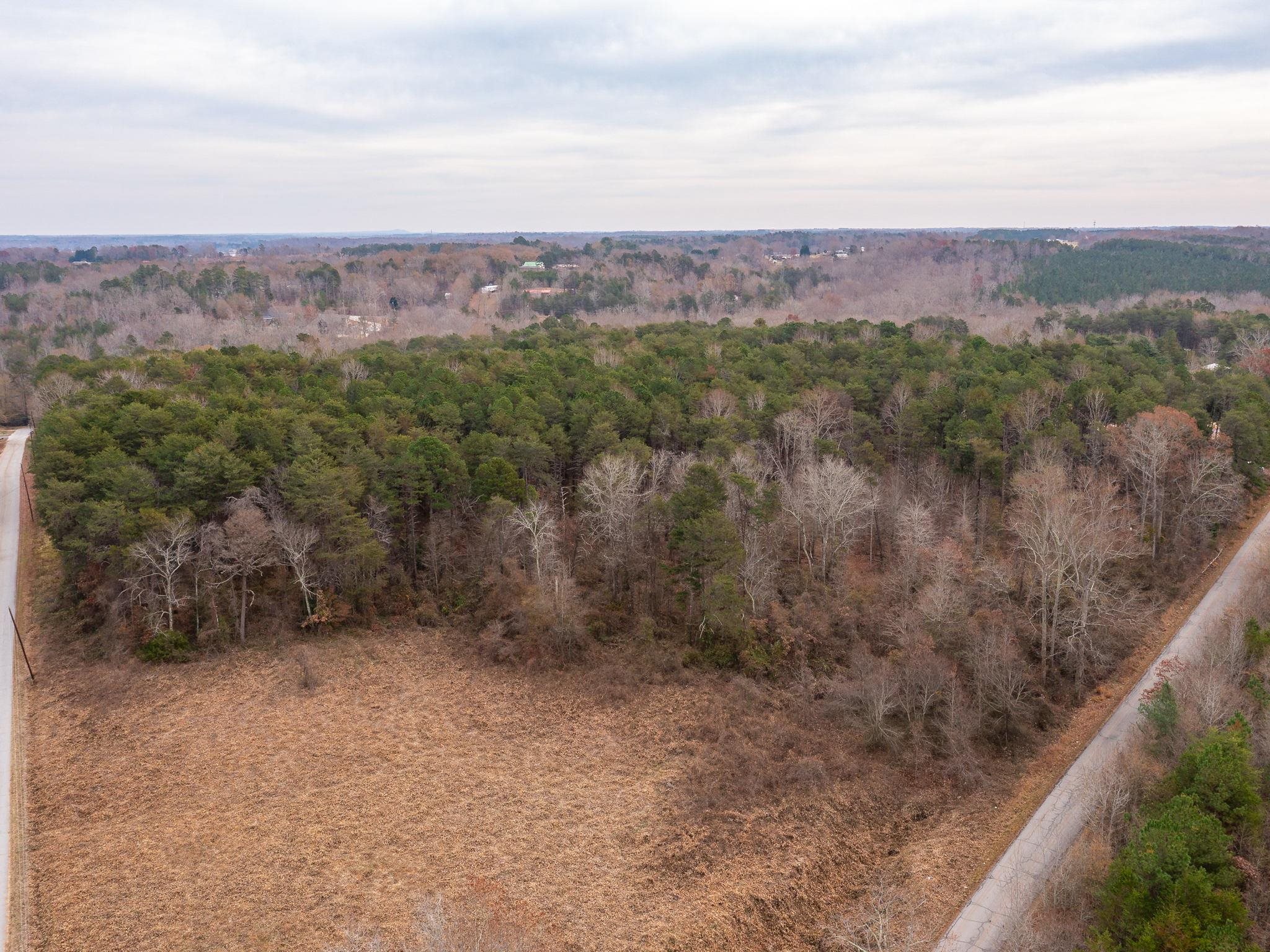 0 Dickson Road Inman, SC 29349 - Photo 10 of 12
