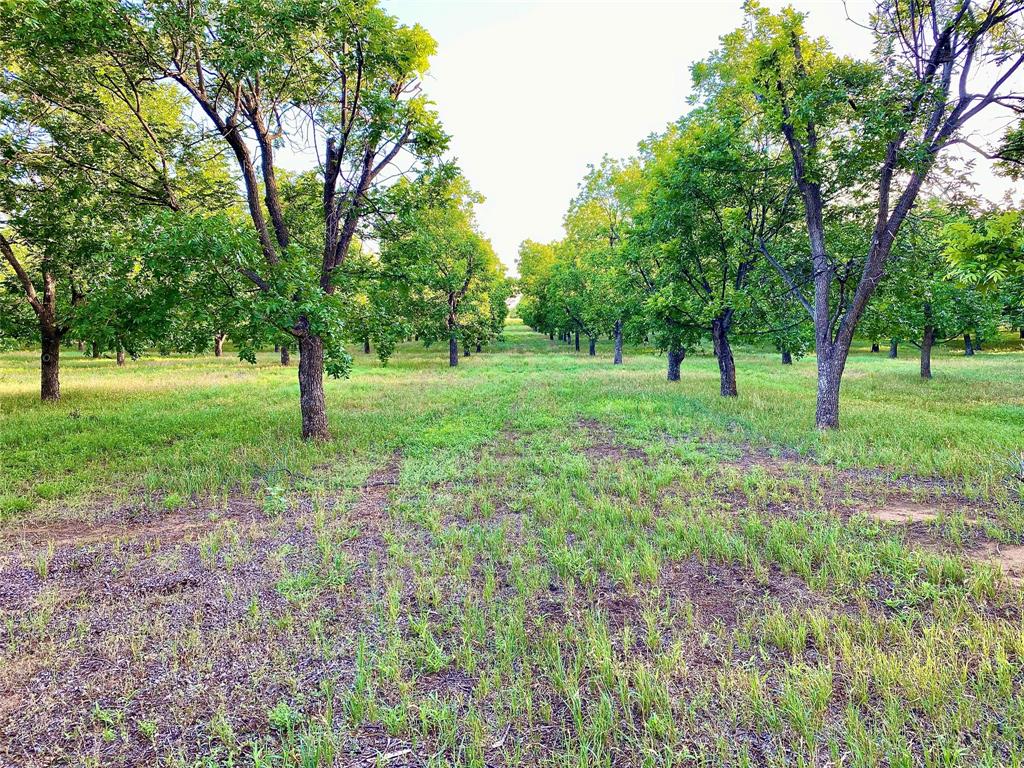 751 County Road 424 Comanche, TX 76442 - Photo 19 of 26 a view of yard with tree s