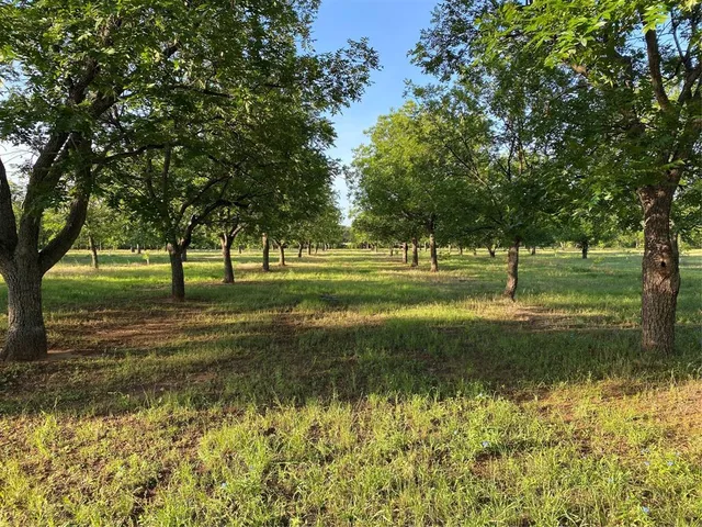 a grassy field with trees in the background