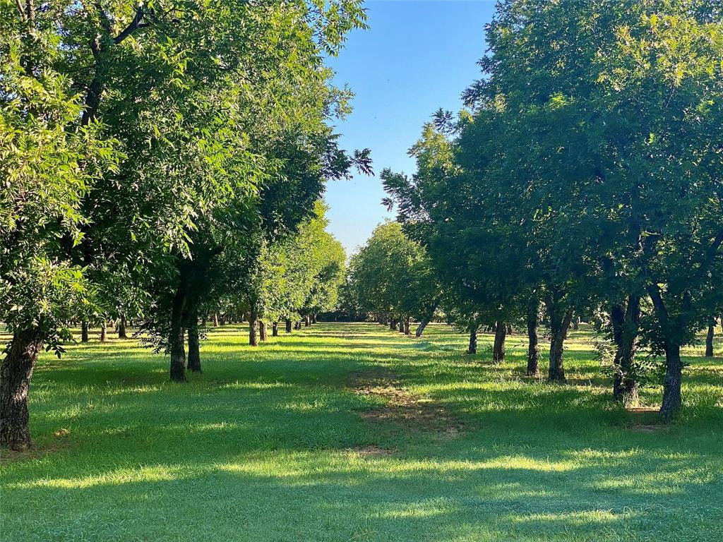 751 County Road 424 Comanche, TX 76442 - Photo 23 of 26 a grassy field with trees in the background