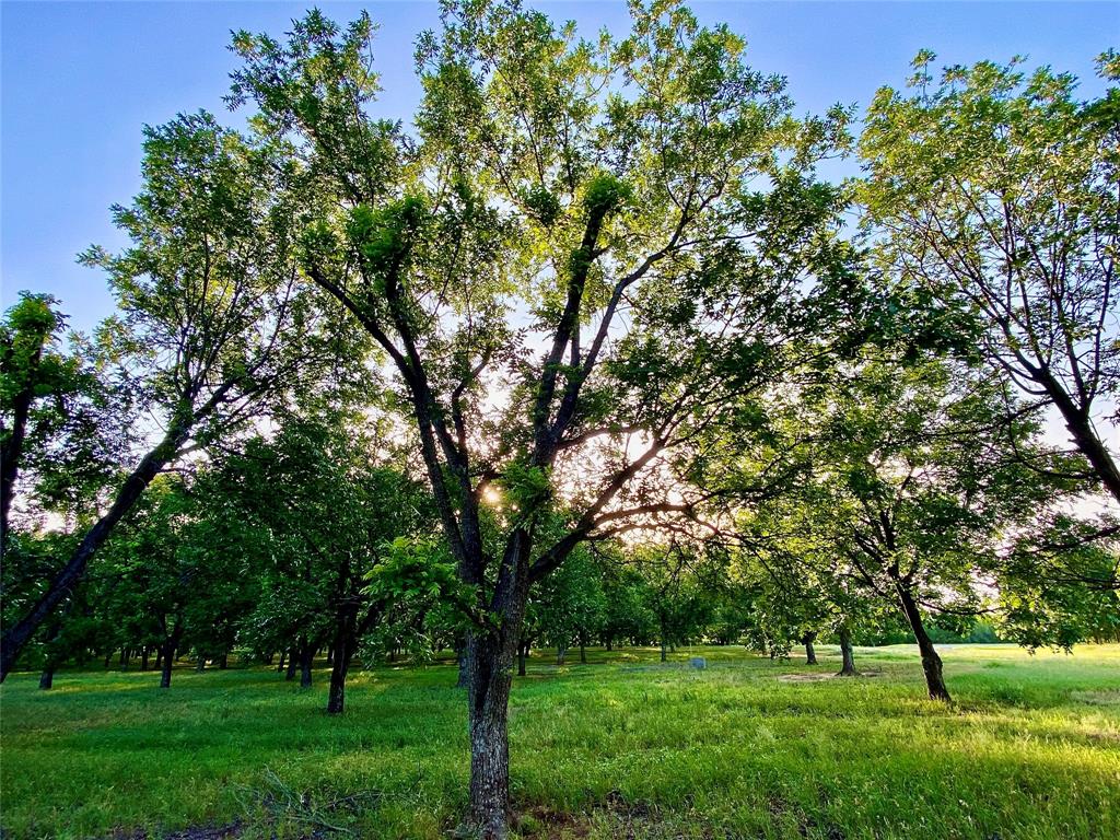 751 County Road 424 Comanche, TX 76442 - Photo 25 of 26 a huge green field with lots of trees