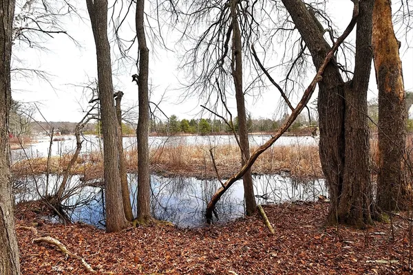 $199,000 | 16 Black Point Road, Webster, MA 01570