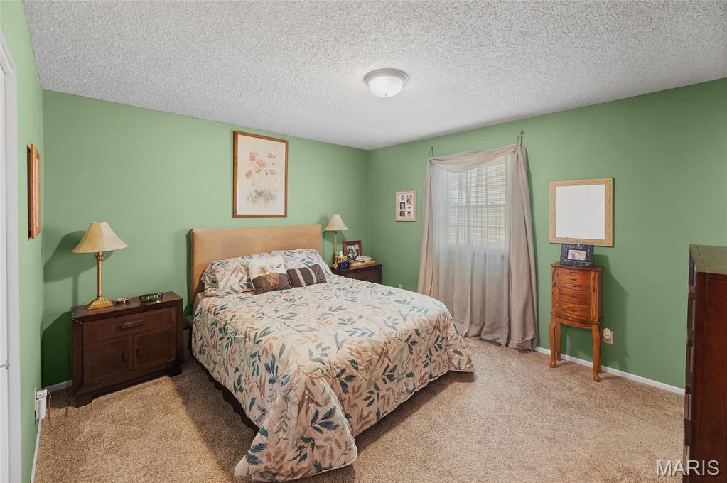 1405 Columbia Road Dupo, IL 62239 - Photo 30 of 49