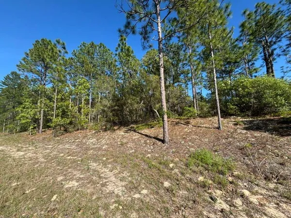 $20,000 | 9161 North Marcus Way, Citrus Springs, FL 34433