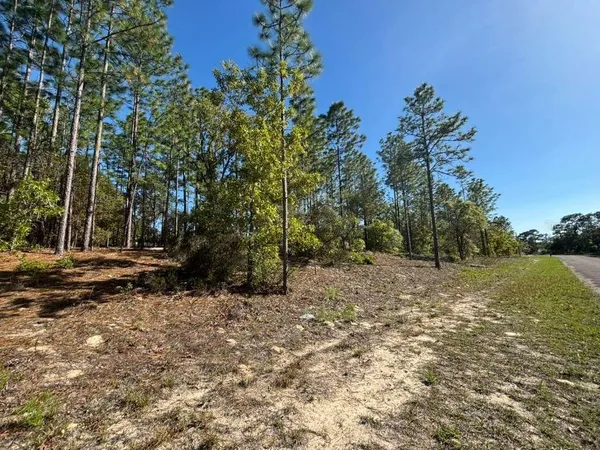 $20,000 | 9161 North Marcus Way, Citrus Springs, FL 34433