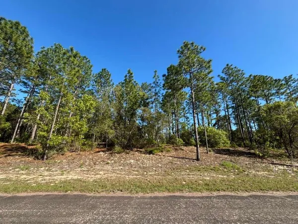 $20,000 | 9161 North Marcus Way, Citrus Springs, FL 34433