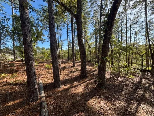 $20,000 | 9161 North Marcus Way, Citrus Springs, FL 34433