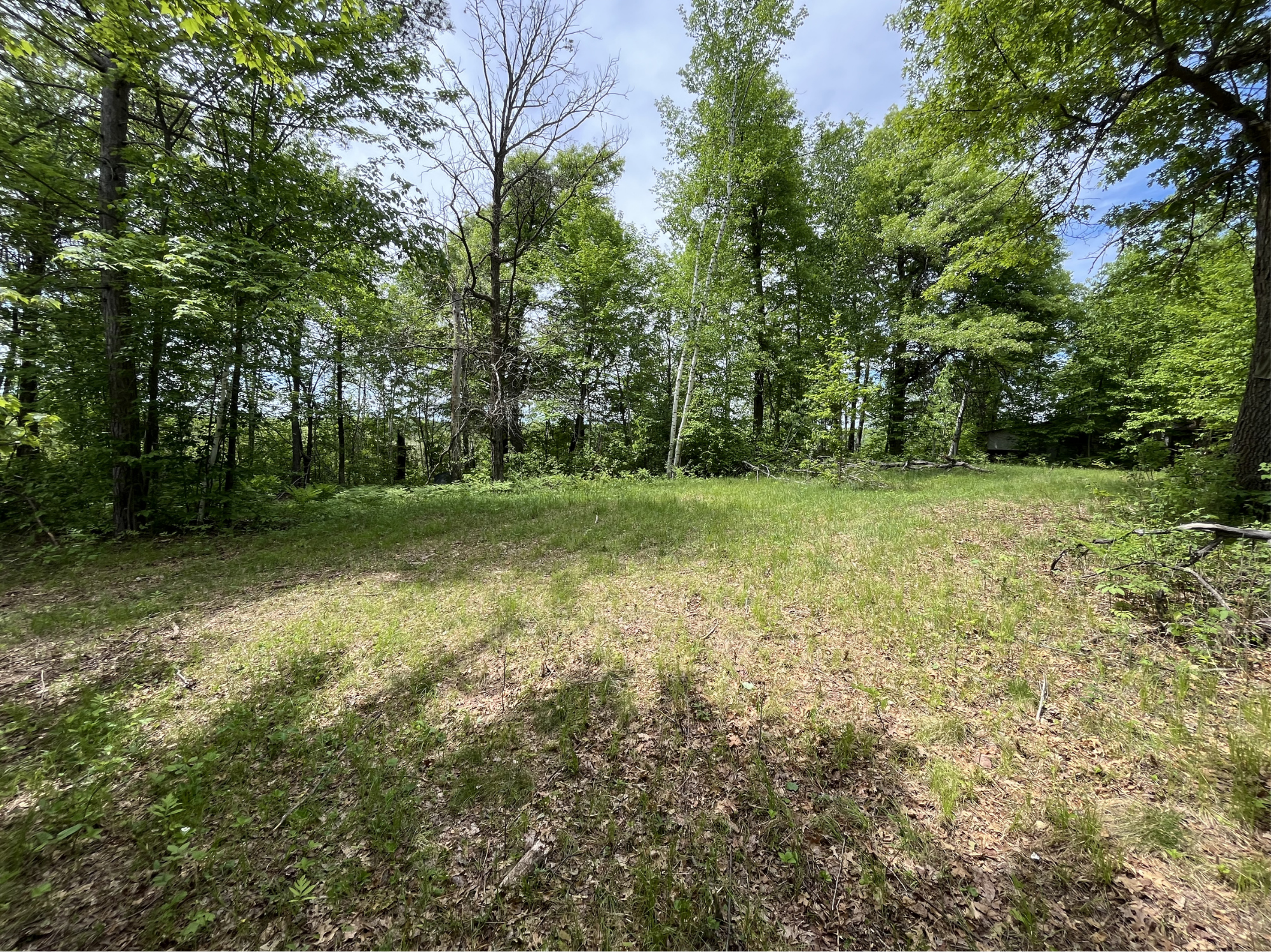 13384 Sorenson Lake Road Merrifield, MN 56465 - Photo 3 of 45