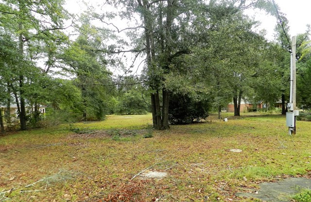 4324 Seago Road Hephzibah, GA 30815 - Photo 7 of 7 Backyard
