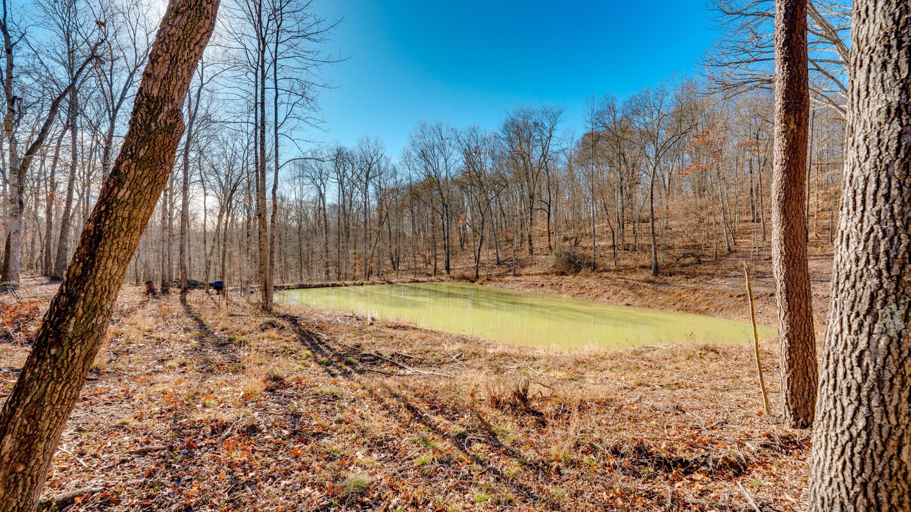 0 Harrison Road, Unit TRACT 6 Jackson, OH 45640 - Photo 1 of 21 Trac 6 Pond - 255