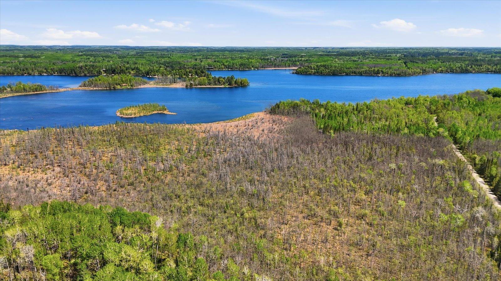 Tbd Cedar Point Road Marcell, MN 56657 - Photo 10 of 21