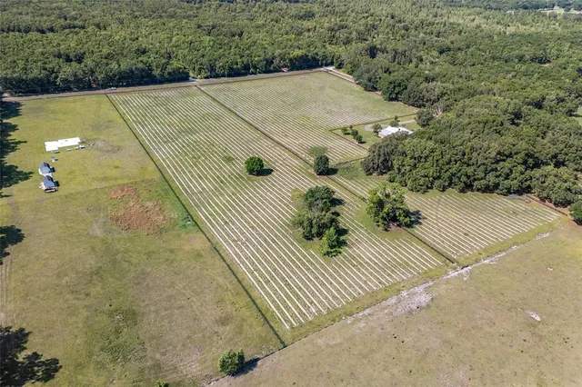 a view of a backyard of the house