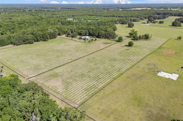 a view of a lake with a mountain