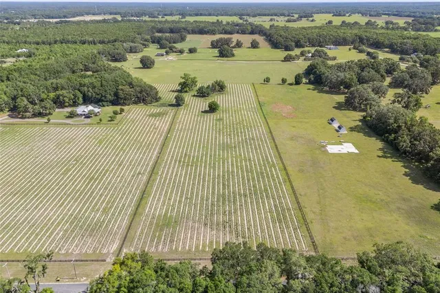 a view of a swimming pool and lake view