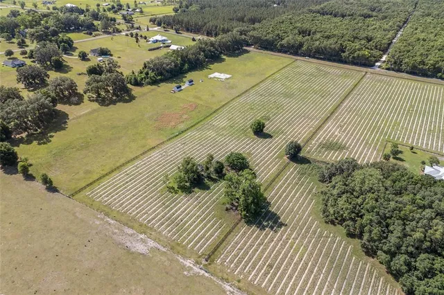 a view of a swimming pool with a yard