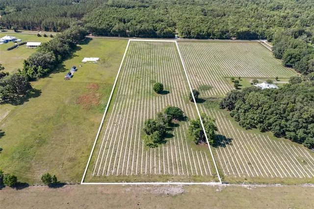 a view of balcony with small garden