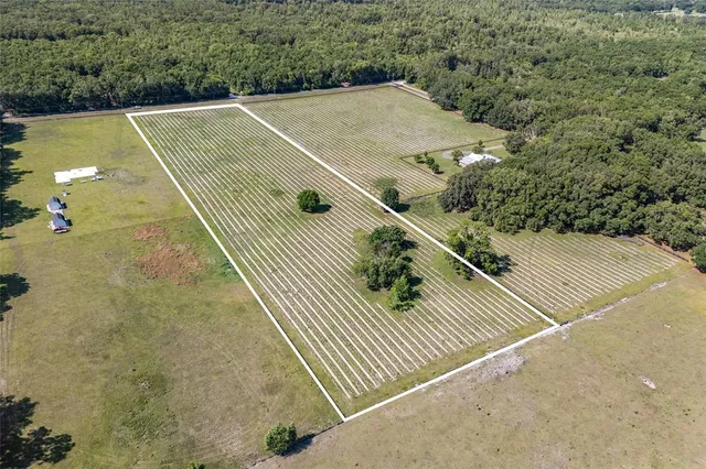 a view of outdoor space and pool side view