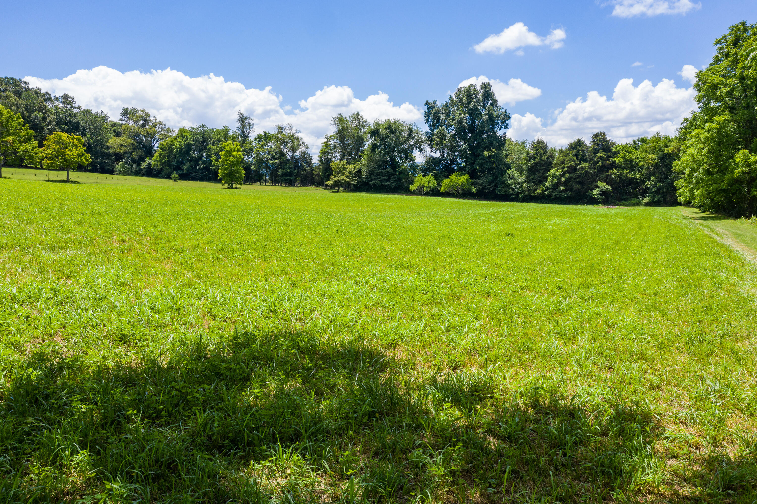 915 Meadowbrook Road Afton, TN 37616 - Photo 56 of 62 915 Meadowbrook Rd-20