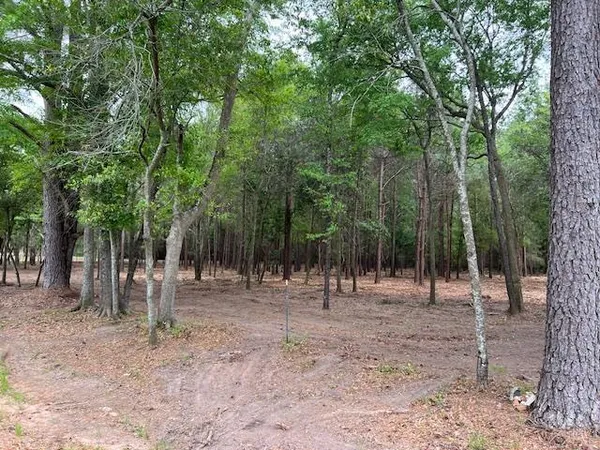 $145,000 | 0 Kinsey Road 18, Dothan, AL 36303