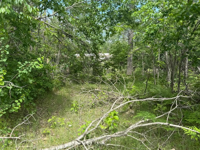 2040 Hill Road Lewiston, MI 49756 - Photo 1 of 5 unnamed (4)