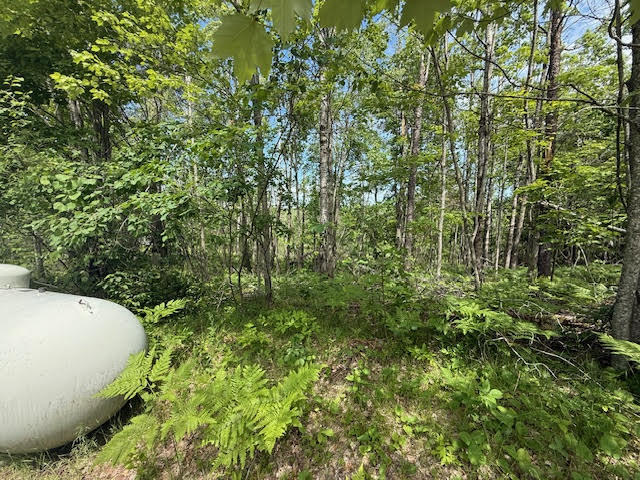 2040 Hill Road Lewiston, MI 49756 - Photo 4 of 5 unnamed (2)