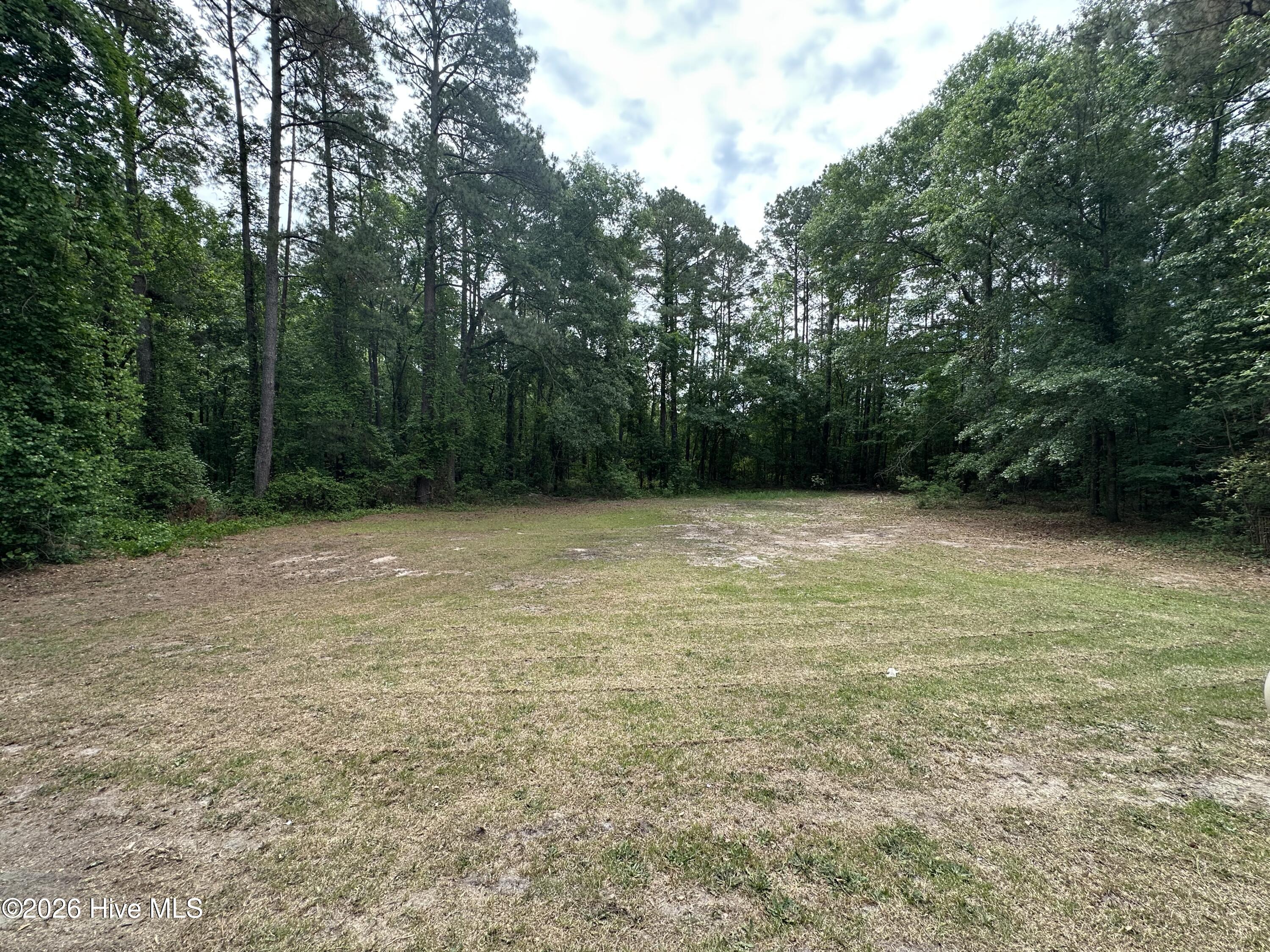 10481 Bostic Road Laurinburg, NC 28352 - Photo 21 of 22 IMG_2198
