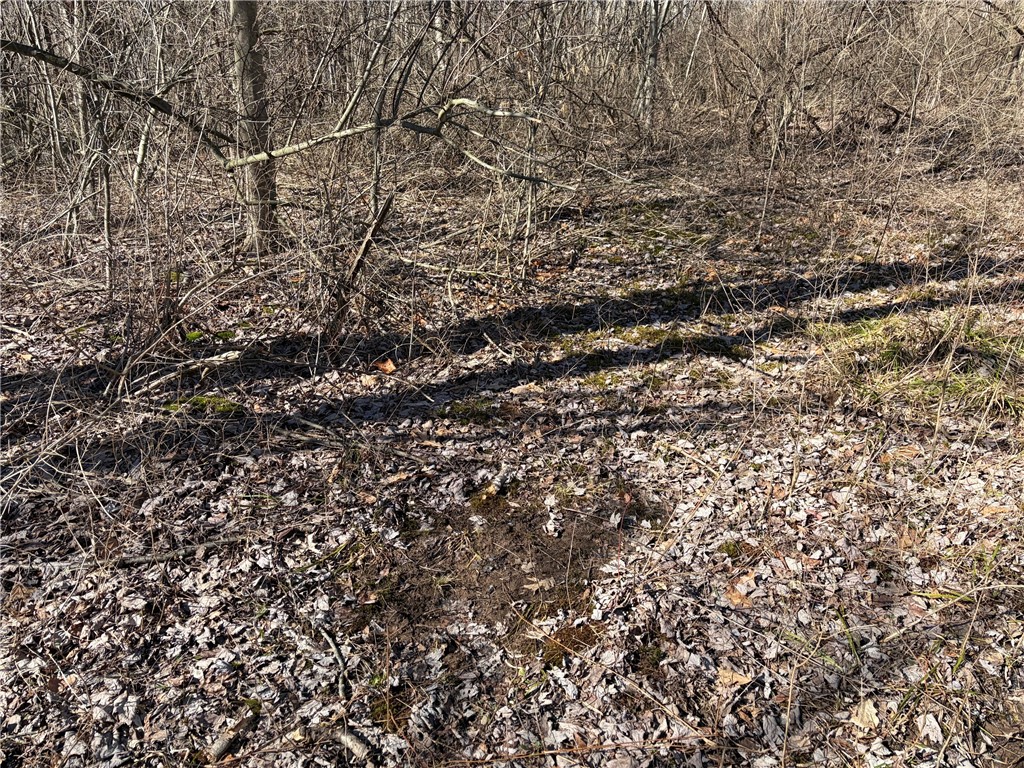 West Somerset Road South Appleton, NY 14008 - Photo 11 of 27