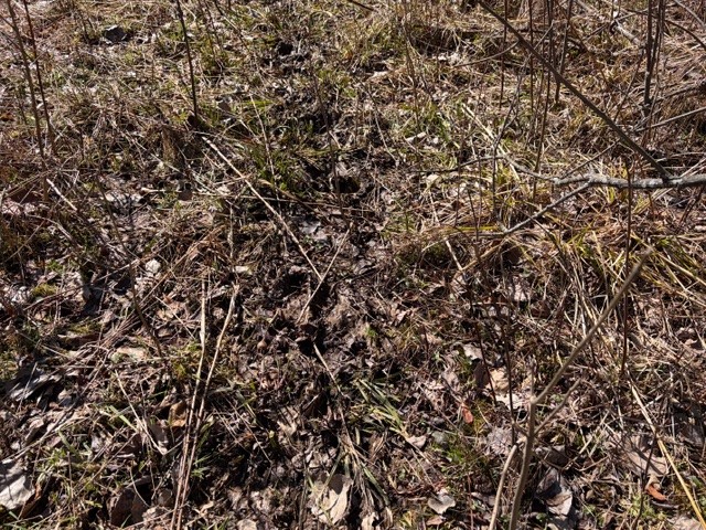 West Somerset Road South Appleton, NY 14008 - Photo 12 of 27