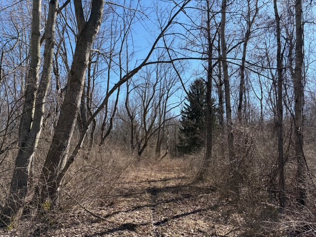 West Somerset Road South Appleton, NY 14008 - Photo 13 of 27