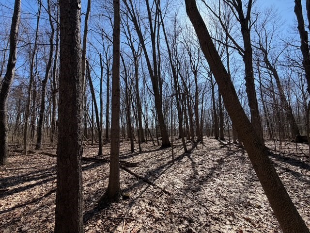 West Somerset Road South Appleton, NY 14008 - Photo 14 of 27