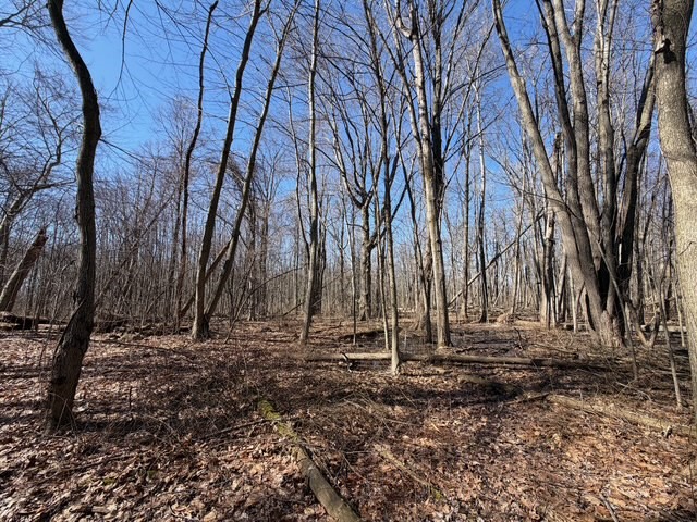 West Somerset Road South Appleton, NY 14008 - Photo 15 of 27