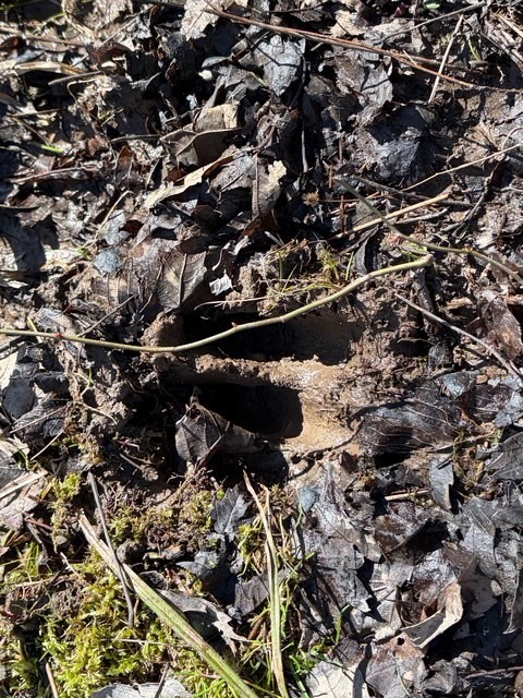 West Somerset Road South Appleton, NY 14008 - Photo 16 of 27