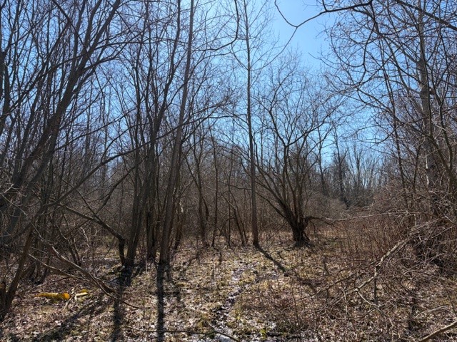 West Somerset Road South Appleton, NY 14008 - Photo 17 of 27