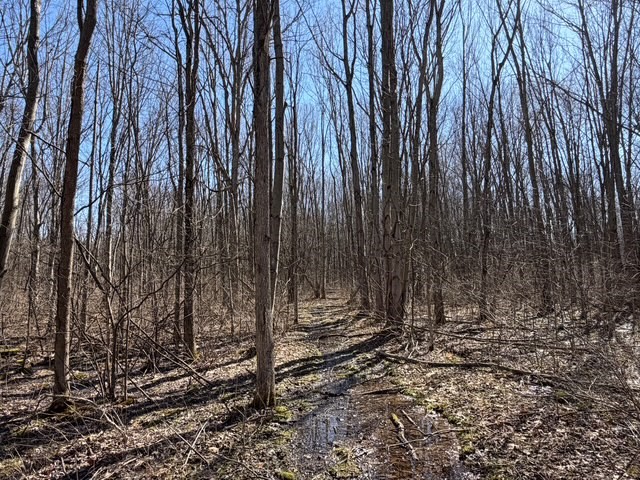 West Somerset Road South Appleton, NY 14008 - Photo 19 of 27