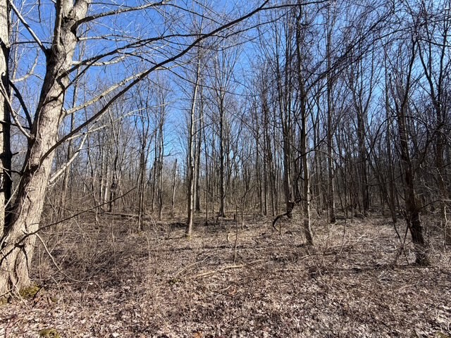 West Somerset Road South Appleton, NY 14008 - Photo 2 of 27