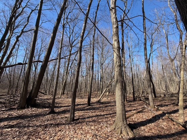 West Somerset Road South Appleton, NY 14008 - Photo 3 of 27